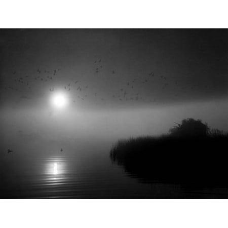 - Duck Hunting Print Wall Art By A. Aubrey Bodine