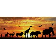DIAMOND DOTZ® Wild Sky Special Edition Diamond Painting Kit