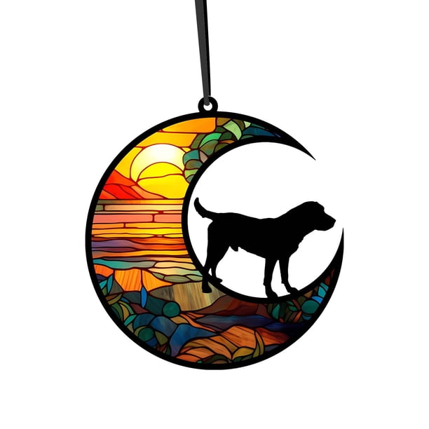 Xihbxyly Colgante Acrílico Colorido, Diseño En Forma de Media Luna, Recuerdo Personalizado para Mascotas, Opción Versátil para Exhibir, Recuerdo Emotivo, Decoración para El Hogar o El Jardín, Tamaño