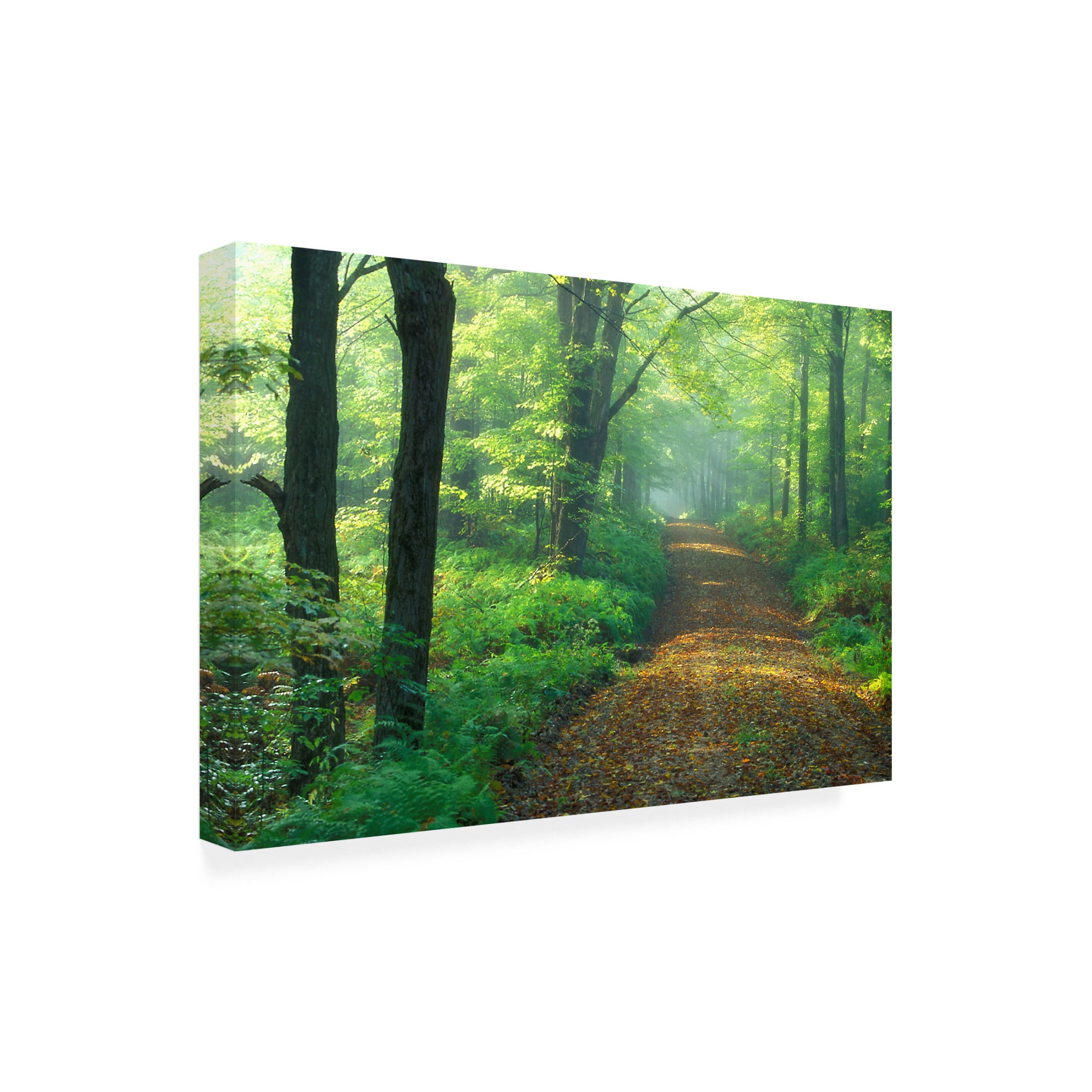 Canvas Wall Art - Patrick Zephyr 'First Light' Wall Art for Living Room, Bedroom, or Office Décor by Trademark Fine Art - 24 x 16 Inches
