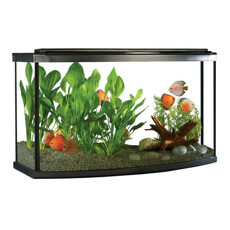 Fluval 45-Gallon Bow LED Aquarium Starter Kit (Best Saltwater Fish For 50 Gallon Tank)