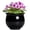 Black, variant on Ordivic 6 Inch Black Ceramic Self Watering African Violet Pot with Absorbent Inner Pot – Round Planter for Indoor Plants, Home Decor, Gift for Plant Lover