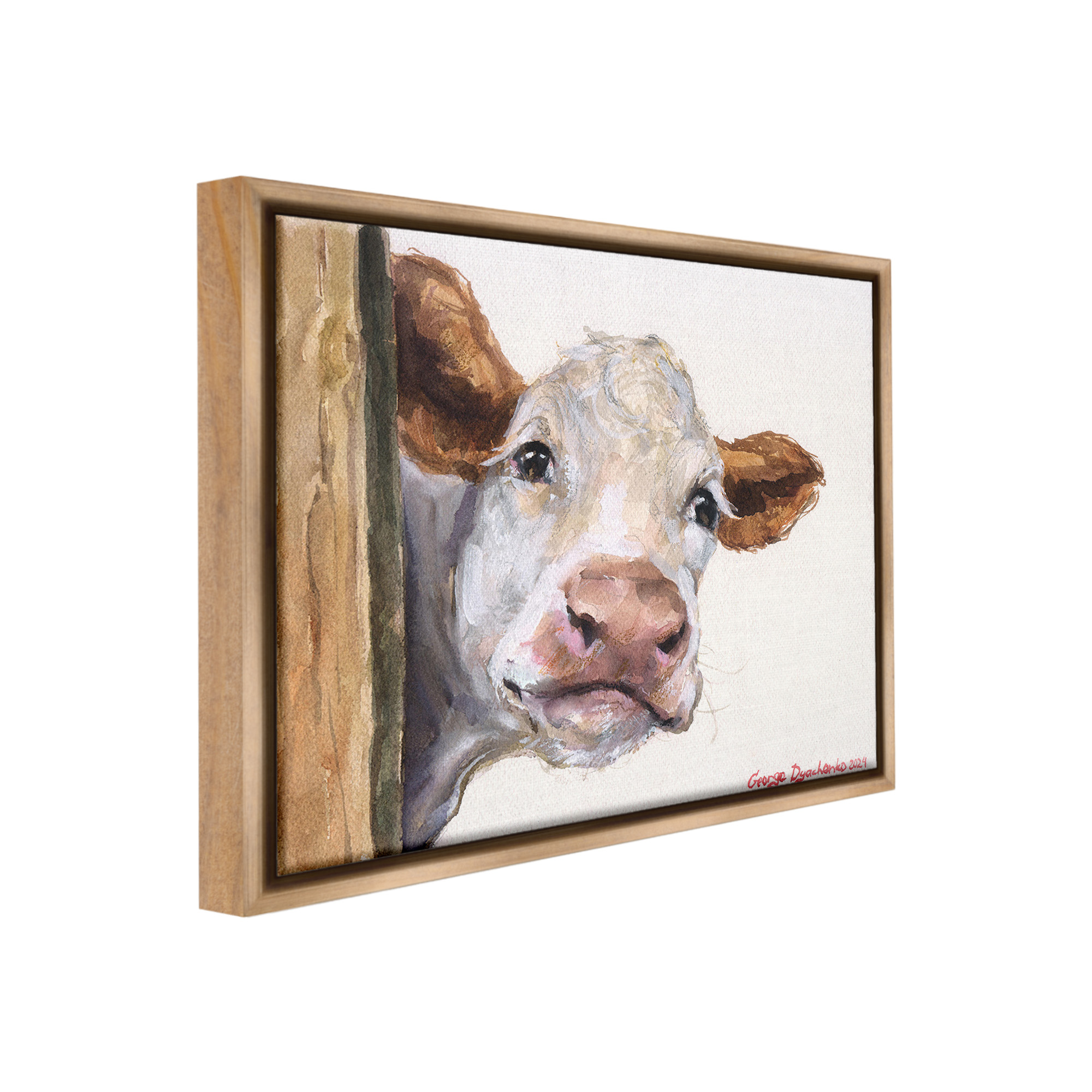 Stupell Industries Peeking Cattle & Fence Animals & Insects Painting Brown Floater Framed Canvas Art Print Wall Art, 21 x 17
