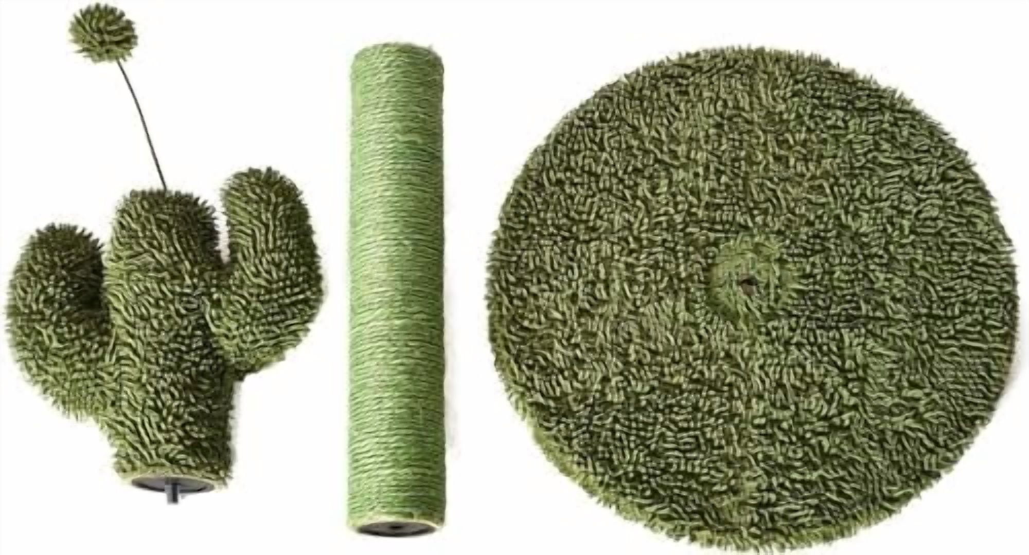 Basics Cat Scratching Post, Indoor Cactus with Natural Sisal for Kittens with Dangling Ball Toy, Medium, 25.6"H, Green