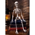 thumbnail image 5 of Sunstar 19 in Halloween Poseable Skeleton, 5 of 5