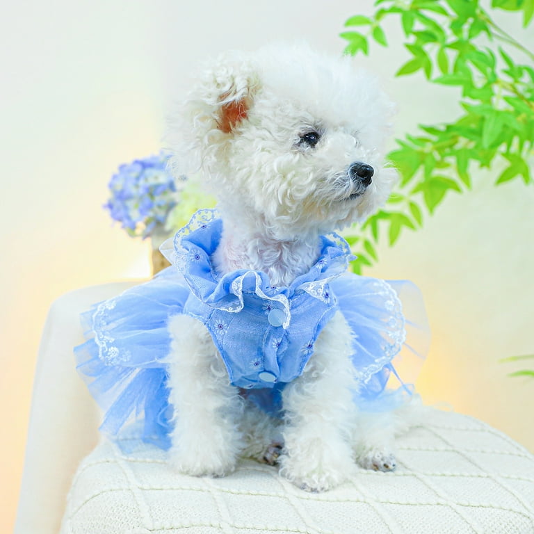 small dog party dresses Amazon.com : Anelekor White Small Dog Wedding Dress with D-Ring, Bow Knot Puppy  Clothes for Small Dog Girl,Cat Birthday Outfit, Pet Party Dress for Kitten  Chihuahua Yorkie Pomeranian (White, Medium) : Pet