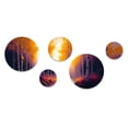 thumbnail image 2 of Designart "Golden Hour Birch Trees III" Landscape Forest Metal Wall Art Set of 5 Piece, 2 of 5