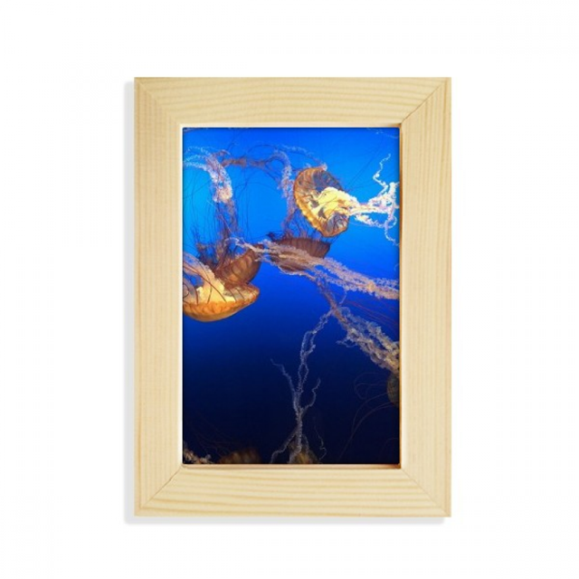 Océan Méduses Science Nature Image Bureau Affichage Photo Cadre Image Art Peinture 5 X 7 Pouces