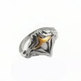 thumbnail image 1 of RJ Dropshipping Dark Souls Rings Havel's Demon's Scar Chloranthy Ring Cosplay Anillos For Men Jewelry Accessories Gift R41 11, 1 of 6