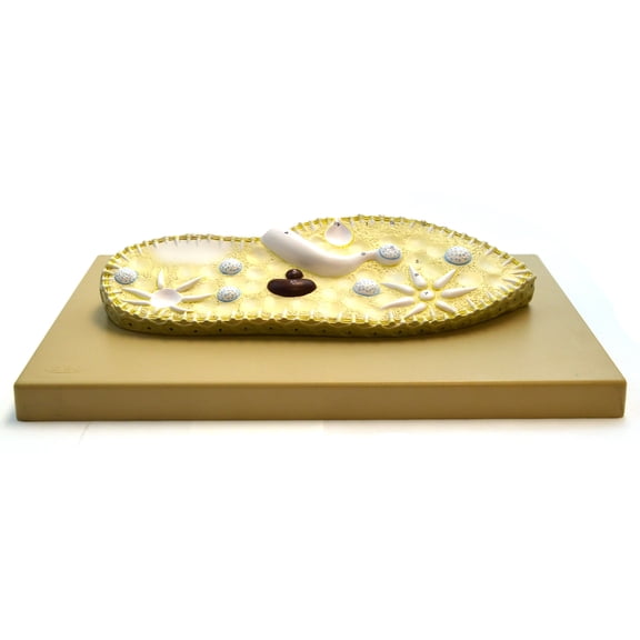 Eisco Labs Paramecium Model