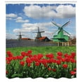 thumbnail image 3 of Ambesonne Windmill Shower Curtain, Red Color Tulips Field, 69"Wx70"L, Multicolor, 3 of 3