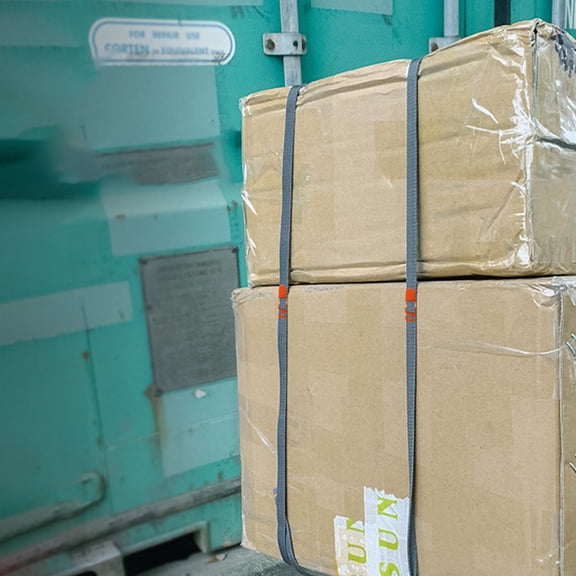 ifundom Outdoor Luggage Straps 4-Pack High Strength Polypropylene Adjustable Tie for Hiking Trips