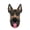 Brown, variant on Realistic Dog Mask,Halloween Dog Head Mask,LARP Shepherd Dog Mask