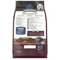 thumbnail image 2 of Blue Buffalo Wilderness High-Protein Natural Dry Food for Senior Dogs, Salmon Recipe, 13-lb. Bag, 2 of 11
