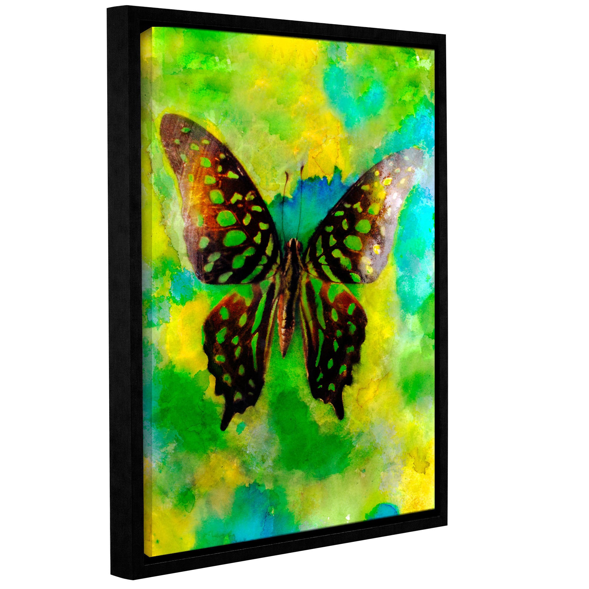 ArtWall Elena Ray "Butterfly" Gallery-Wrapped Floater-Framed Canvas