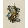 thumbnail image 2 of Nathaniel Currier 15x18 Black Ornate Wood Framed Double Matted Museum Art Print Titled - American Feathered Game-Partridges (ca. 1854), 2 of 5