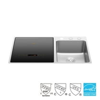 FOTILE SD2F-P5L 3-In-1 In-Sink Dishwasher