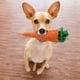 thumbnail image 4 of EeaseMX 7 bolas de paja tejidas para entrenamiento de mascotas, juguetes para conejos, loros, molares y zanahorias., 4 of 7