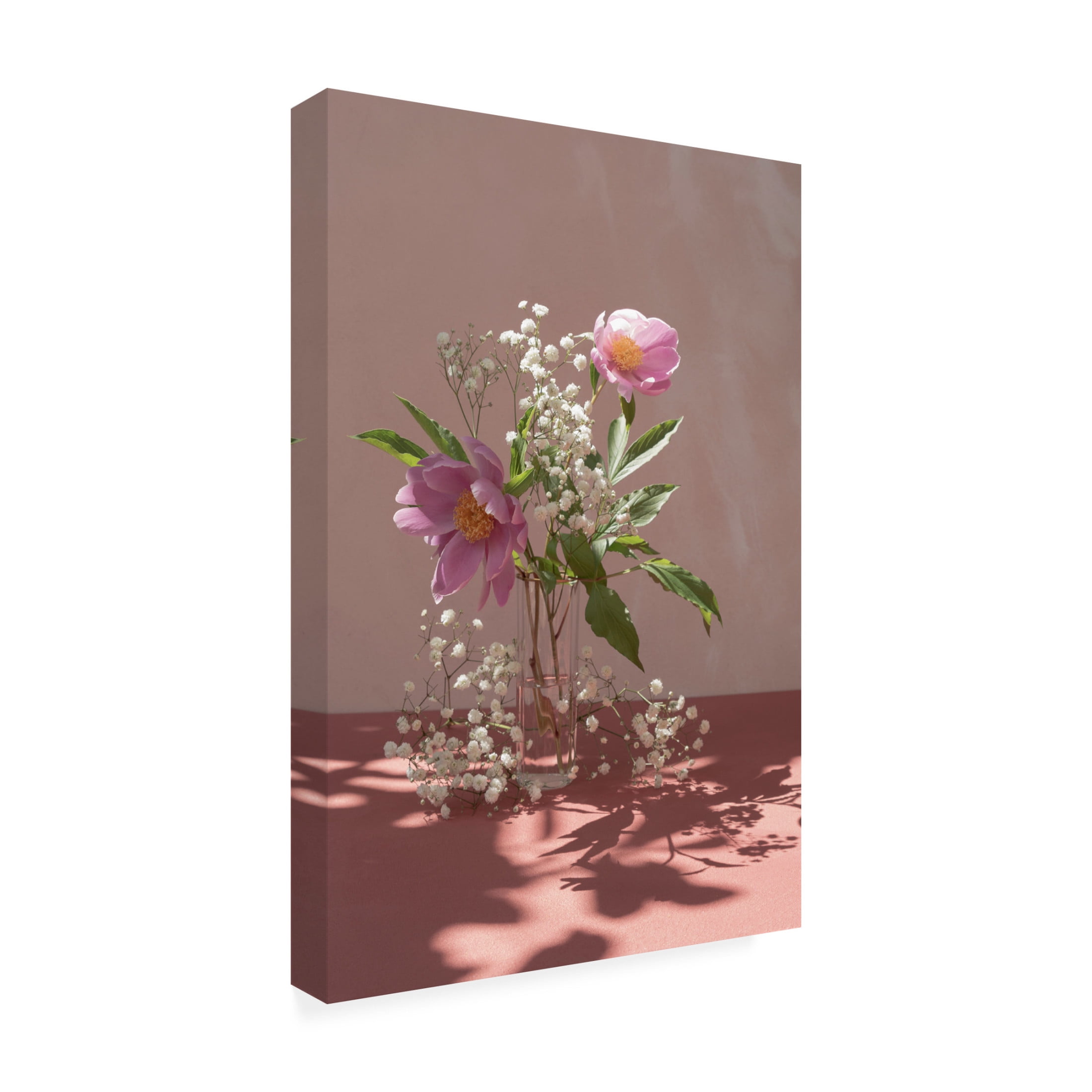 Trademark Fine Art Donatella Basso  Light a shadow Canvas Wall Art