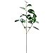 thumbnail image 3 of Vickerman RX193304 33 Po. Vert Shiny Leaf Spray - 2 par Sac, 3 of 4