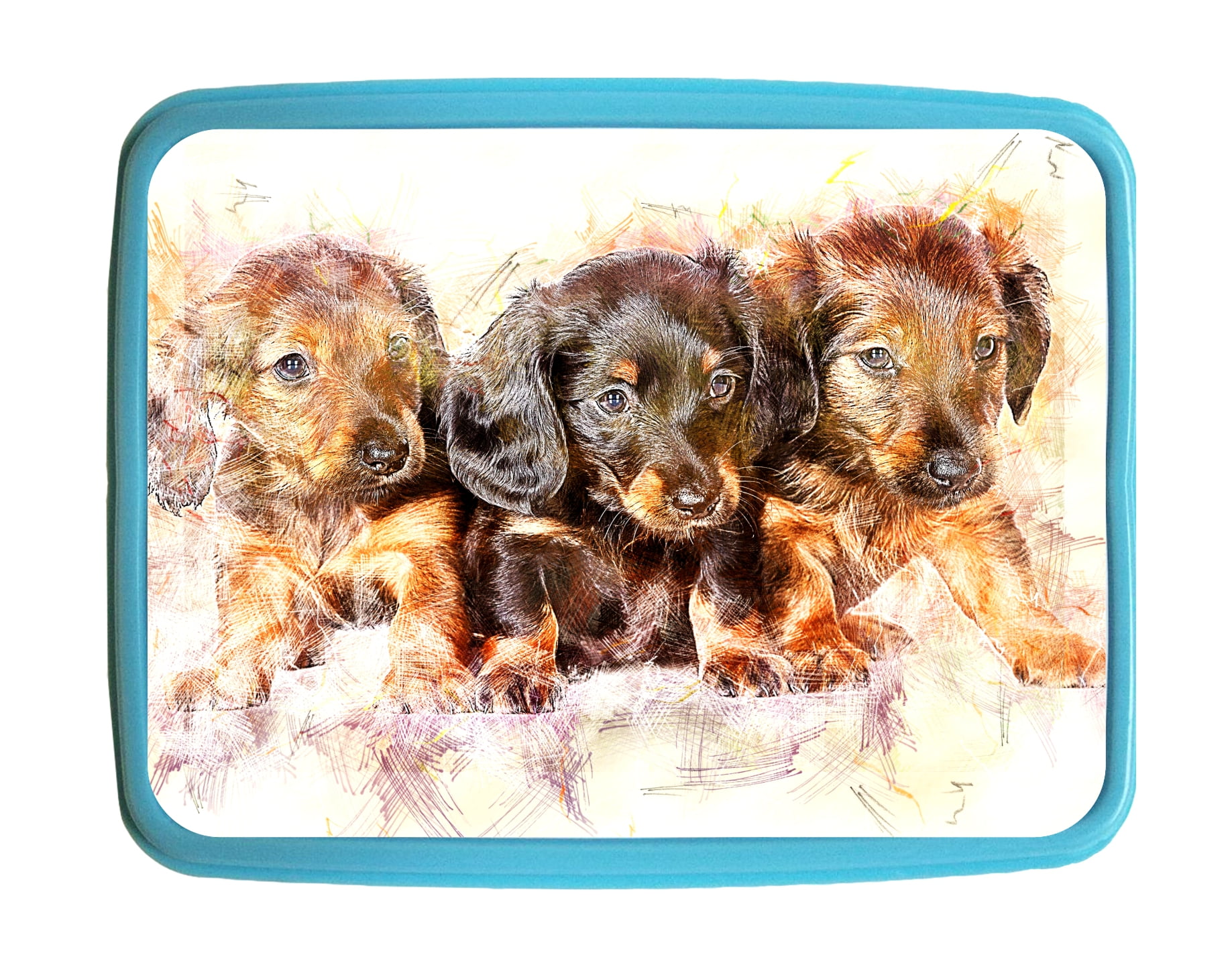 dachshund lunch box