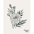 thumbnail image 3 of Popp, Grace 20x24 Black Modern Framed Museum Art Print Titled - Annual Flowers X, 3 of 5