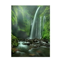 Adhi Prayoga 'Tiu Kelep' Canvas Art