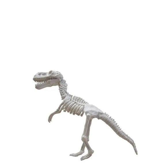 Baby T-Rex Dinosaur Skeleton Life Size Statue