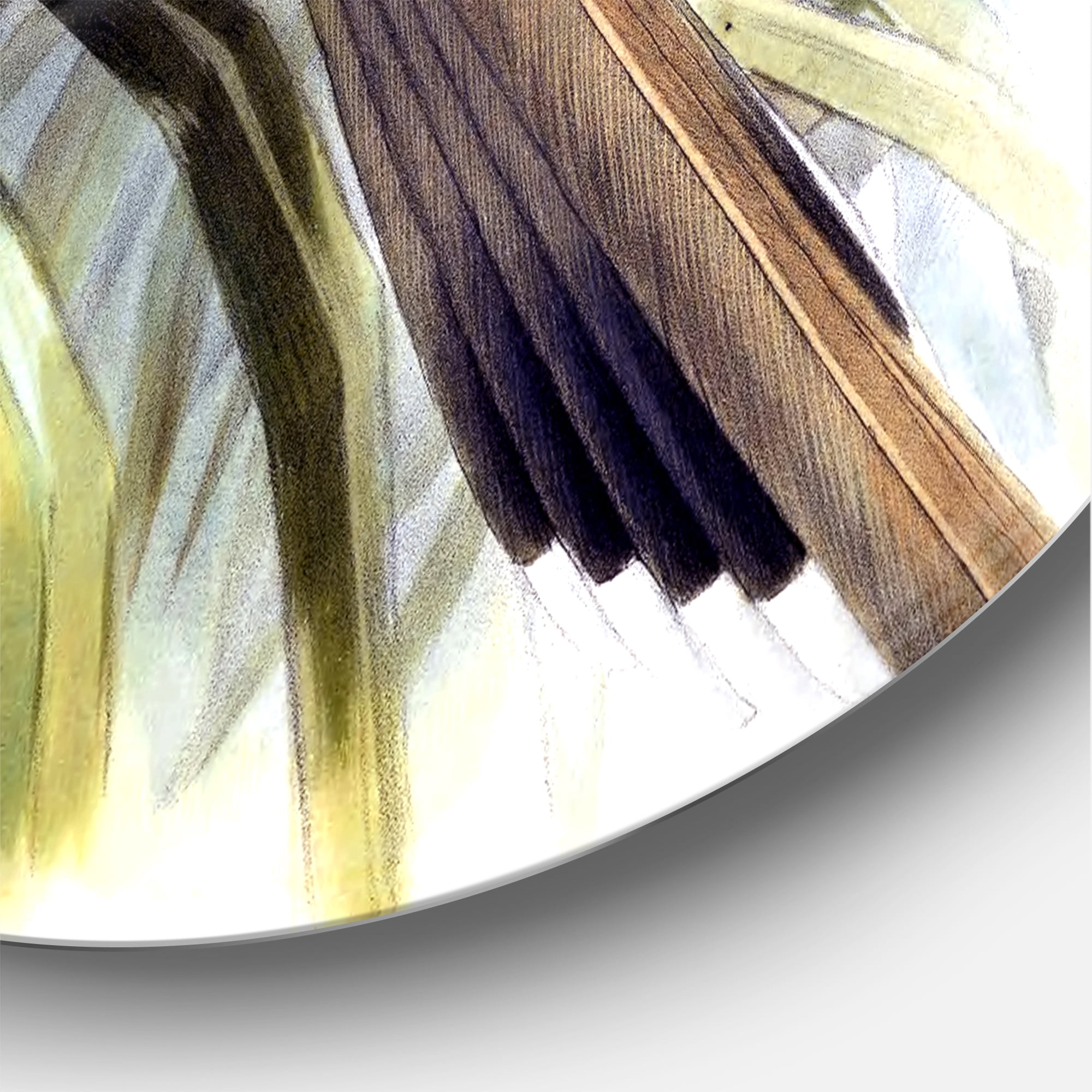 Designart 'Ancient Australian Birds XIV' Traditional Circle Metal Wall Art 36x36 - Disc of 36