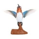 thumbnail image 1 of Figura de modelo de colibríes de la colección de esculturas de animales Estatuas de juguete para niños Figuras para adornos de regalo de cumpleaños 2996, 1 of 8
