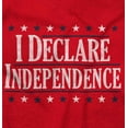 thumbnail image 2 of American Freedom Declare Independence Zip Up Hoodie Men's Women's Brisco Brands L, 2 of 6
