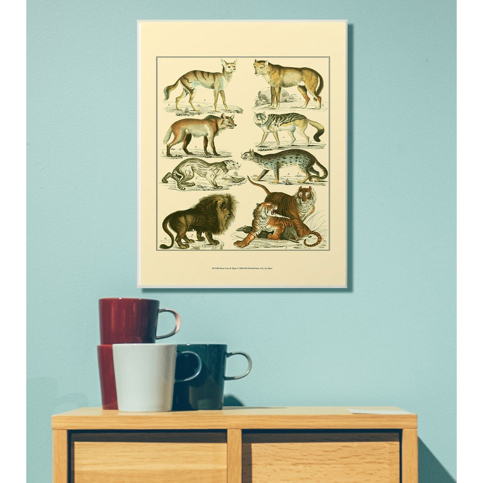 The Stupell Home Decor Collection Big Cats Wildlife Illustration Wall Art