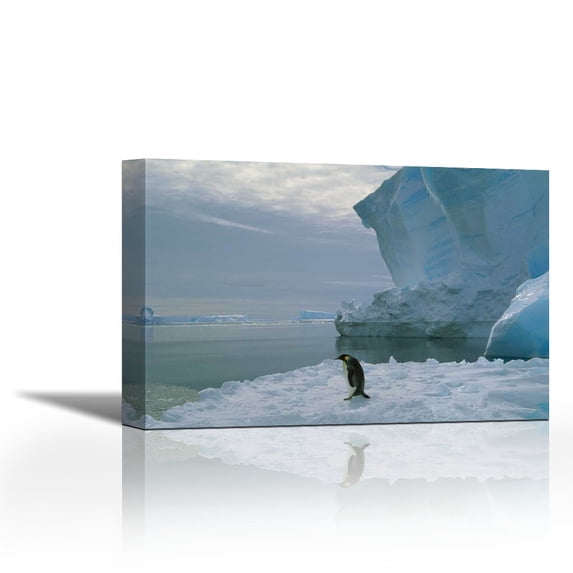 Emperor Penguin walking across ice, Ekstrom Ice Shelf, Weddell Sea, Antarctica - Contemporary Fine Art Giclee on Canvas Gallery Wrap - wall décor - Art painting - 36 x 24 Inch - Ready to Hang