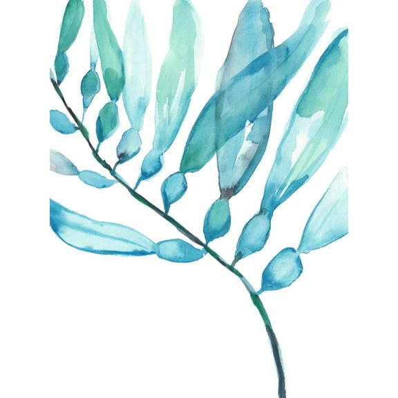Art.com Watercolor Kelp II Art Print by Jennifer Goldberger, 18" x 24"