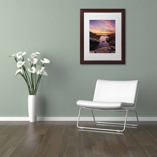 Trademark Fine Art "Beavertail Sunset" Canvas Art by Michael Blanchette Photography White Matte, Wood Frame