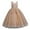Beige, variant on Cute Flower Girls Dresses Flowers Little Girls Tulle Lace Dress for Kids Formal Birthday Princess Pageant Prom Maxi Gown Dresses for Wedding Party