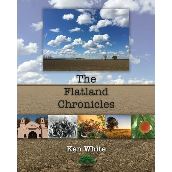 The Flatland Chronicles, (Paperback)