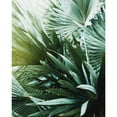 thumbnail image 3 of Incado 20x24 Black Modern Framed Museum Art Print Titled - Leaf II, 3 of 5
