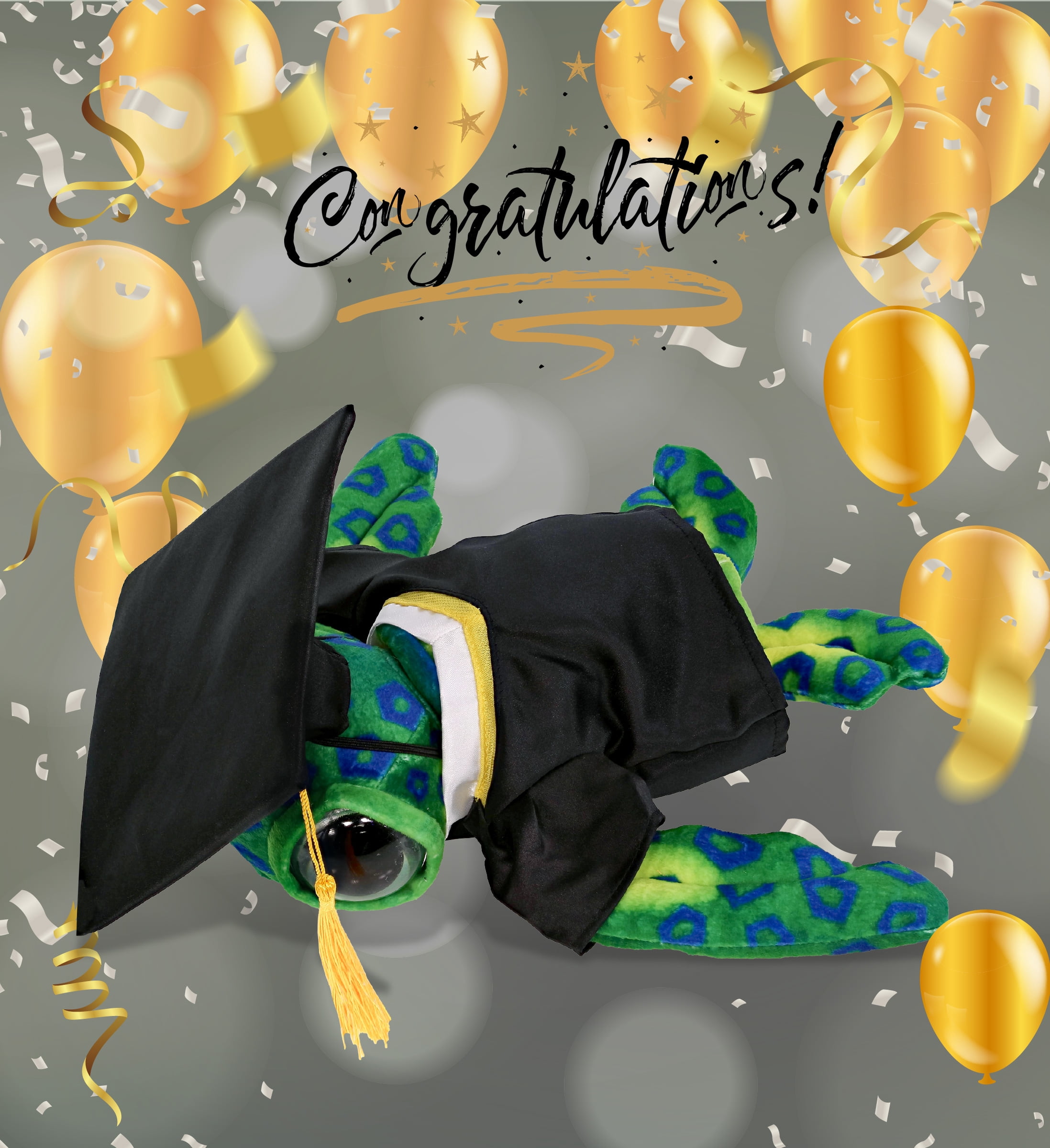 DolliBu Green Sea Turtle Graduation Plush Toy - Super Soft Turtle Plush Graduation Stuffed Animal Dress Up with Graduation Gown and Cap with Tassel Outfit - Congratulatory Graduation Gift - 10 Inches