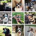 thumbnail image 4 of OUSITAID Pet Dog Sunglasses Anti-Fog Uv Resistant Waterproof Goggles With Adjustable Strap, 4 of 6