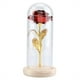 thumbnail image 1 of Regalo de flor de rosa, flor de rosa preservada Flor de rosa LED con luz LED elegante y moderna Jadeshay A, 1 of 8