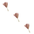 thumbnail image 1 of Yuarrent 15 piezas de hierba de pampa seca, plantas simples, ramo de plantas, adorno para interior, romántico, DIY, caña seca, accesorio para Type1 NO1, 1 of 6