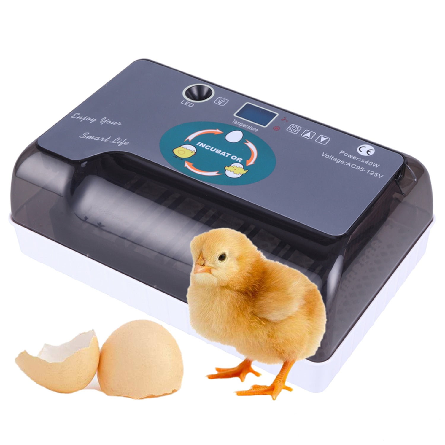 Pefilos12-Egg Adjustable Incubator for Chicken Egg Tray Practical Fully Automatic Poultry Incubator for Reptile Eggs Thermometer Set US Plug, Gray Pefilos12-Egg Adjustable Incubator for Chicken Egg Tray Practical Fully Automatic Poultry Incubator for Reptile Eggs Thermometer Set US Plug, Gray