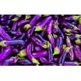 thumbnail image 5 of Long Purple Eggplant Seeds for Planting, 100+ Heirloom Seeds Per Packet,  Non GMO Seeds, Botanical Name: Solanum melongena, Great Home Garden Gift, 5 of 5