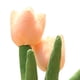thumbnail image 1 of Juguete de planta de peluche, tulipán de peluche, buen adorno de muñeca de flores, tulipán, suculenta almohada de peluche hecha a mano con cuidado, 1 of 5