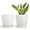 White, variant on BUYMAX 6 inch Rustic Ceramic Planter with Handles, Embossed Sunflower Pot, Vintage Crackle Glaze Flower Container for Home & Garden Décor