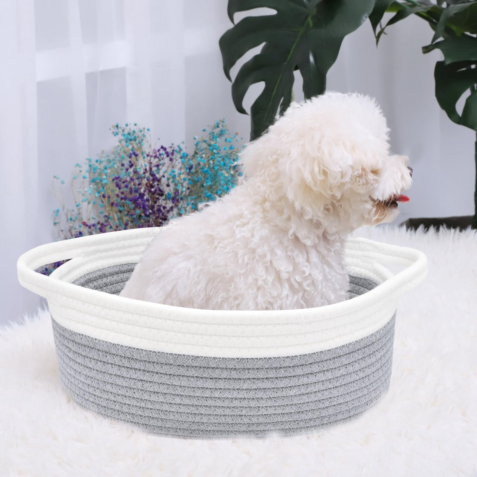 Small Basket with Handles, Boho Decorative Rope Woven Storage Bin Organizer, Pet Toy Storage, Easter and Holiday Gift Basket, 12"x8"x5", White