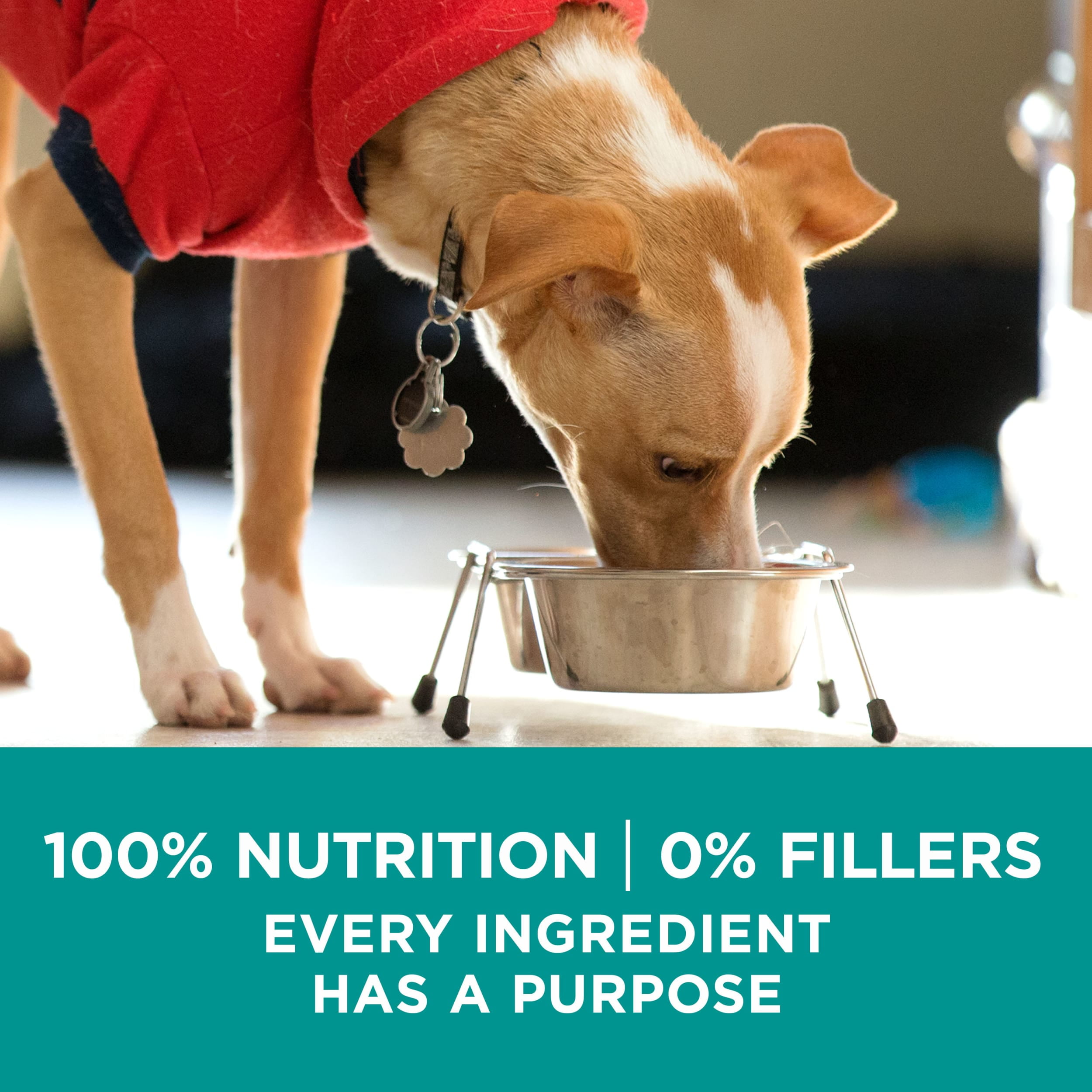 Walmart purina one clearance dog food