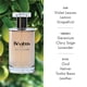 thumbnail image 2 of Perfume Béatus Haute Futaie Eau de Parfum para hombre, 100 ml, 2 of 6