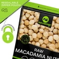 thumbnail image 6 of Raw Macadamia Nuts, Unsalted, Bulk Nuts Healthy Protein Food Snack, Natural, Vegan, Kosher (48oz - 3 lbs) By Nut Cravings, 6 of 8